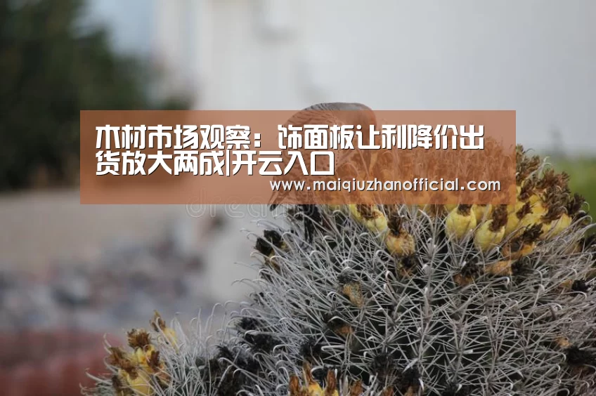 木材市场观察:饰面板让利降价出货放大两成|开云入口(图1) 开云入口