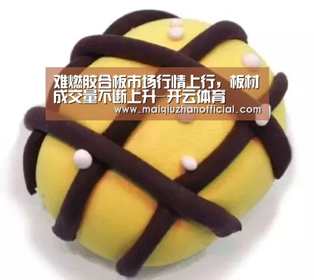 开云体育官网
