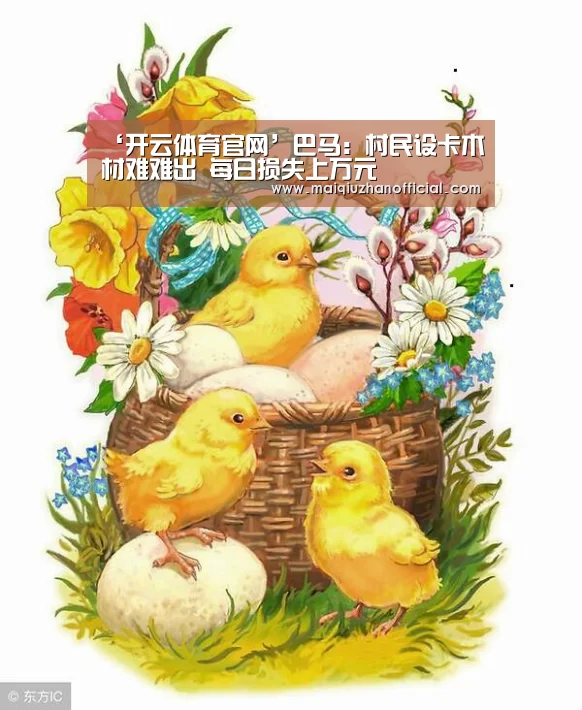 开云体育