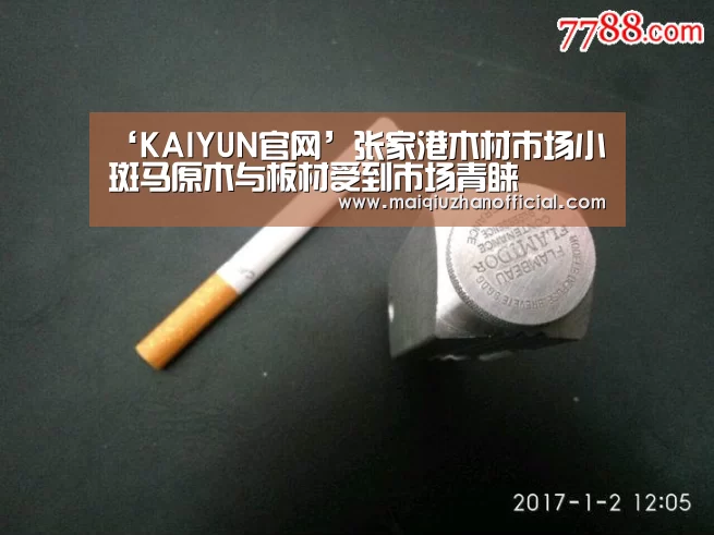 开云体育