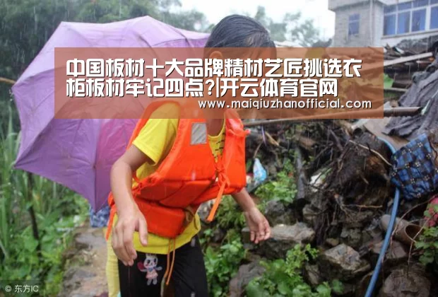 中国板材十大品牌精材艺匠挑选衣柜板材牢记四点?|开云体育官网(图4) 开云体育