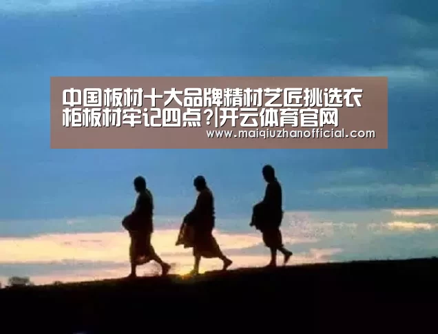 中国板材十大品牌精材艺匠挑选衣柜板材牢记四点?|开云体育官网(图1) 开云入口